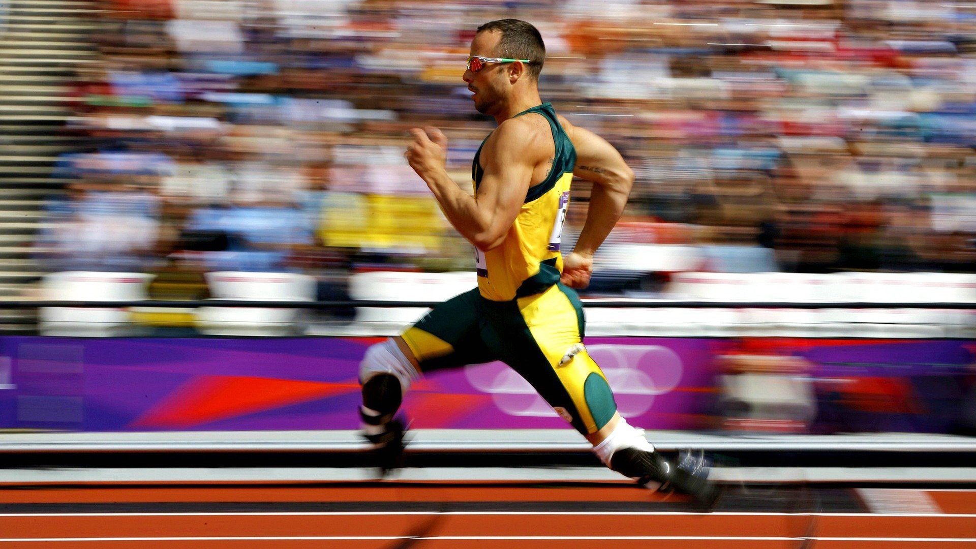 开云kaiyun-史上最亮眼“冠军夜”：拼搏与荣耀的精彩瞬间，冠军hqmg