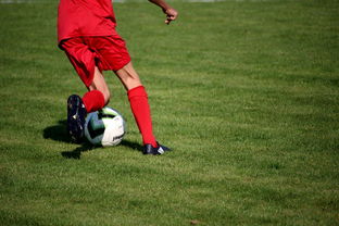 kaiyun官方入口登录-体育新闻中心发布体育短视频内容运营新策略，体育短视频存在的问题